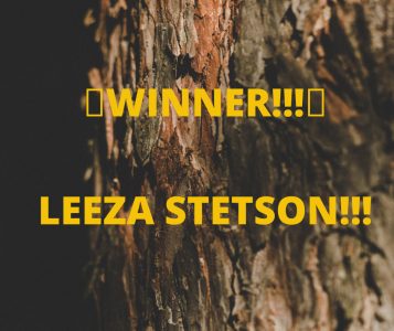 WINNER!!! LEEZA STETSON