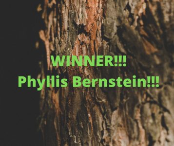 WINNER!!! Phyllis Bernstein!!!