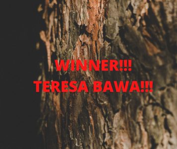 WINNER!!! TERESA BAWA!!!